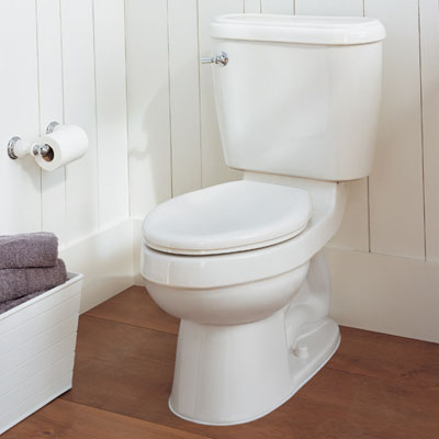 Residential toilet installation, maintenance, and repair.